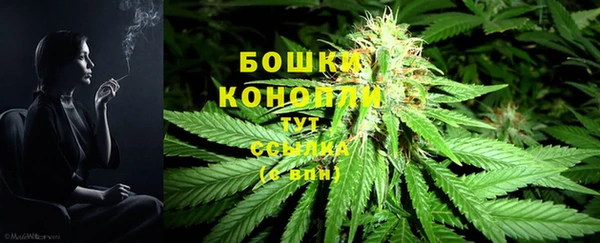 твердый Богданович