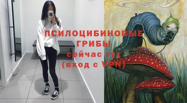ECSTASY Армянск