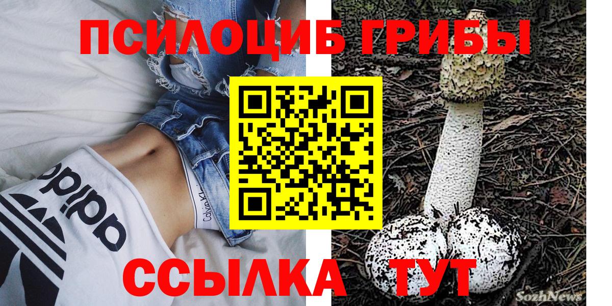 Кировск  Галлюциногенные грибы Cubensis  Вход с VPN 